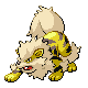 Arcanine