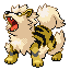 Arcanine