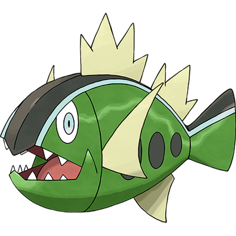 White-Striped Basculin