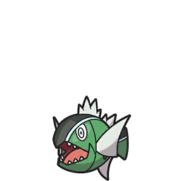 White-Striped Basculin