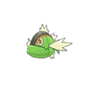 Basculin