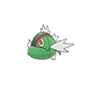 Basculin