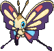 Beautifly