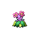 Bellossom
