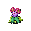 Bellossom