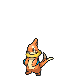 Buizel