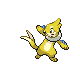 Buizel