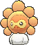 Sunny Castform