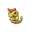 Caterpie