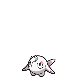 Cetoddle