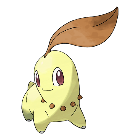 Chikorita