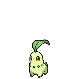 Chikorita