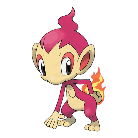 Chimchar