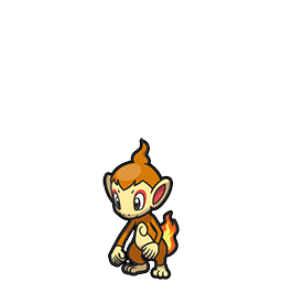 Chimchar