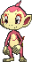 Chimchar