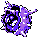 Cloyster