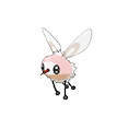 Cutiefly