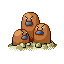Dugtrio