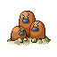 Dugtrio