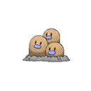 Dugtrio