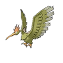 Fearow