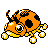 Ledyba