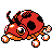 Ledyba