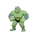 Machoke