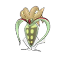 Malamar