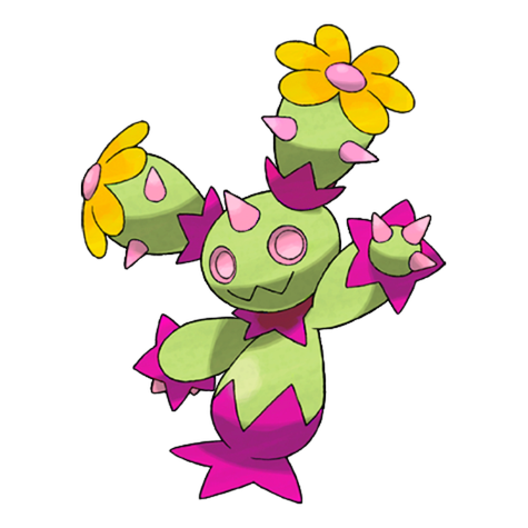 Maractus
