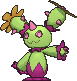 Maractus
