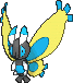 Mothim