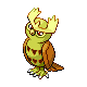 Noctowl