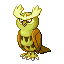 Noctowl