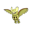 Noctowl
