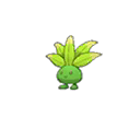 Oddish