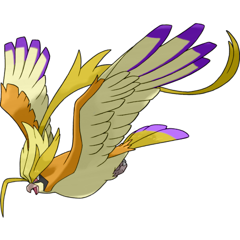 Mega Pidgeot