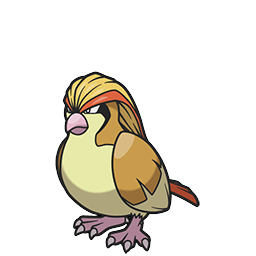 Pidgeot