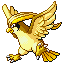Pidgeot