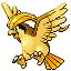 Pidgeot