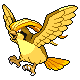 Pidgeot