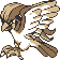 Pidgeot
