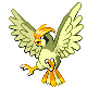Pidgeotto