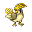Pidgeotto
