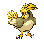 Pidgeotto