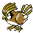 Pidgeotto