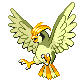 Pidgeotto