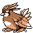 Pidgeotto