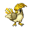 Pidgeotto