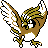 Pidgeotto